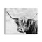 Stupell Industries Bold Country Cattle Photography Canvas Wall Art